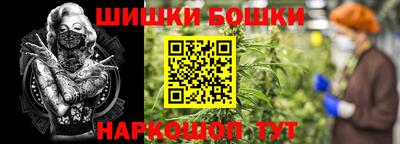 соль ск Обь